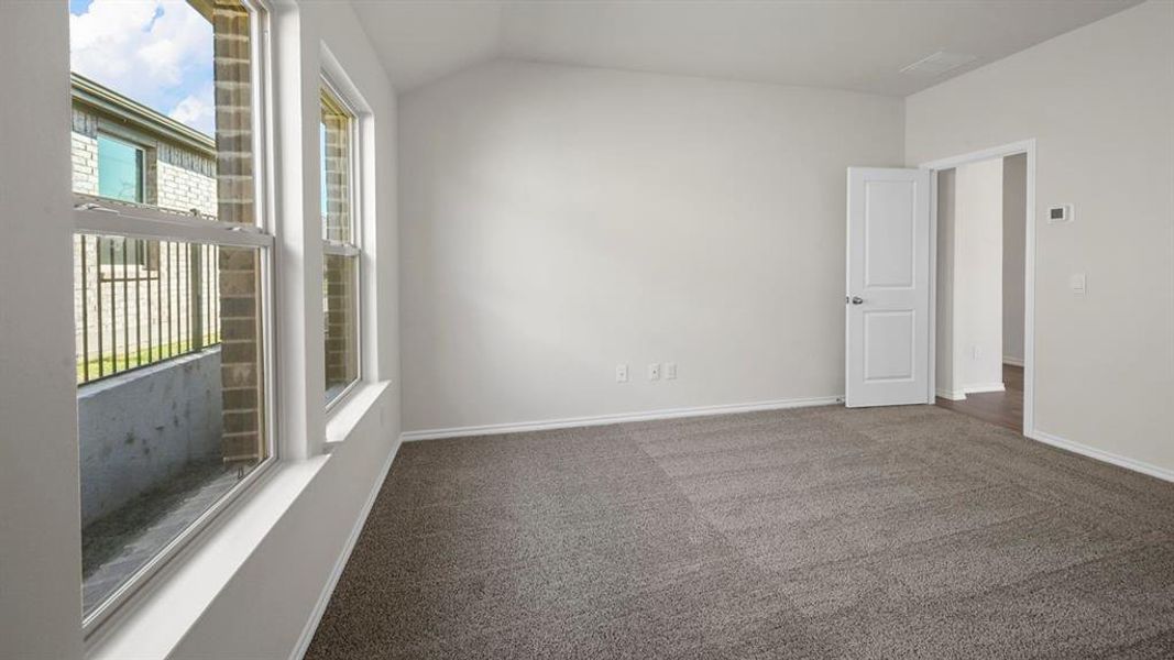 Empty room featuring dark carpet, healthy amount of natural light, and vaulted ceiling