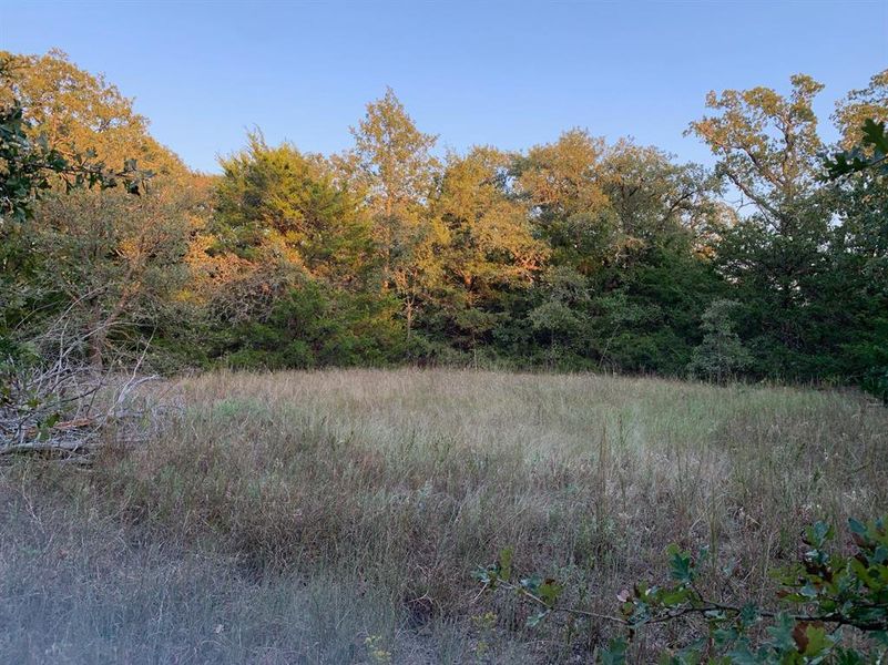Property mixed with some open areas and tree lines.