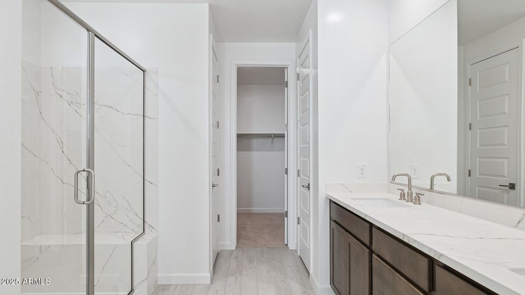 3985_Phoenician_Lot 2081_Aloravita_Peori 3985_Phoenician_Lot 2081_Aloravita_Peori