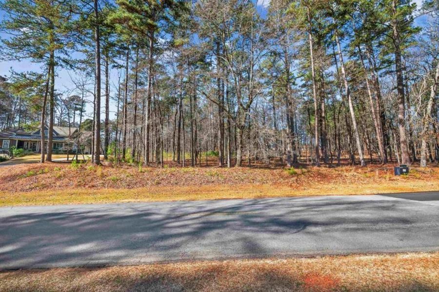 Natural landscape and outdoor views near  in Greensboro (Image 6).