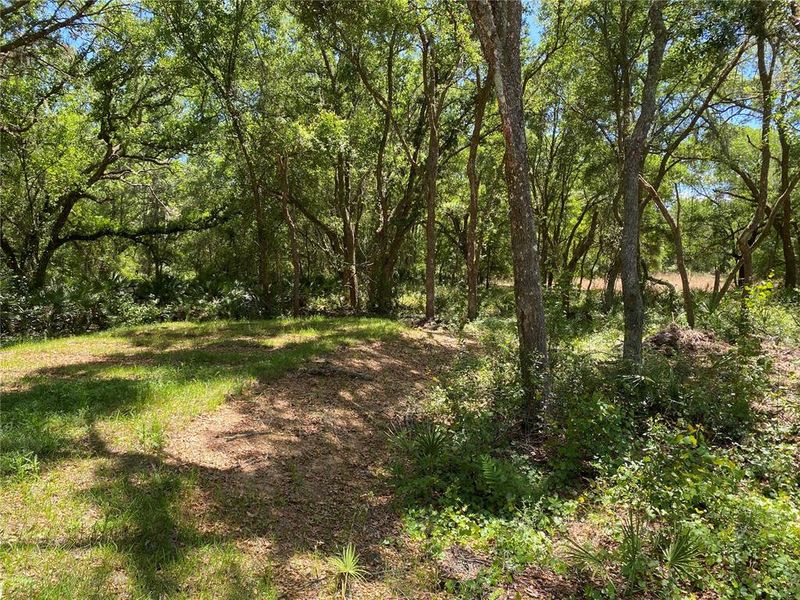 Natural landscape and outdoor views near  in Webster (Image 19).