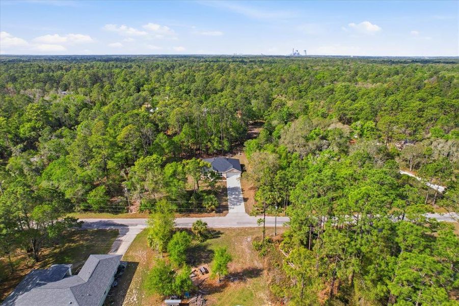 Natural landscape and outdoor views near  in Crystal River (Image 40).