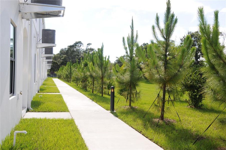 Exterior details and patio area of a home in , Tampa (Image 4).