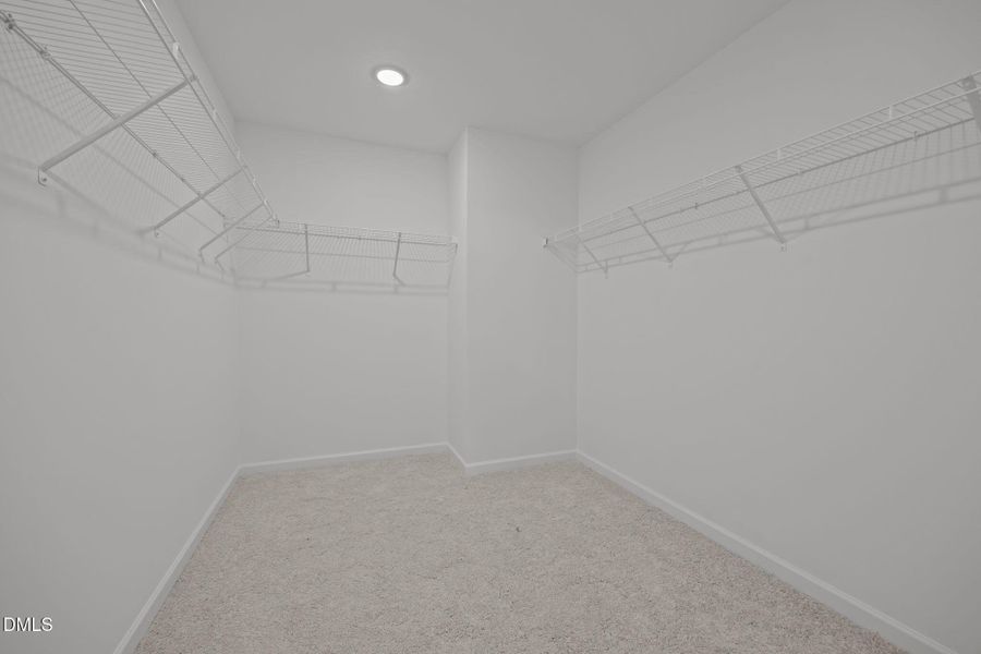 26-web-or-mls-6S8A4269