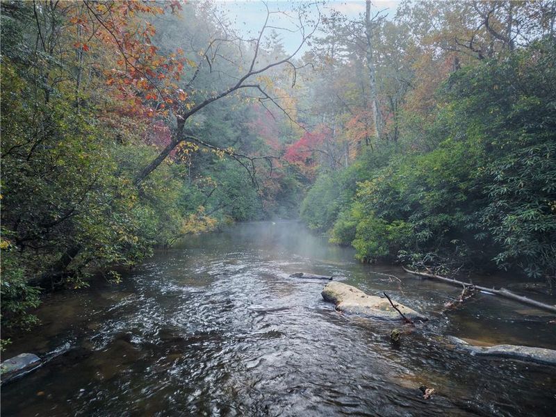 Natural landscape and outdoor views near  in Cherry Log (Image 59).