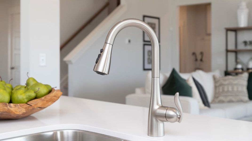 Carellton Ammenity Moen Faucet With Pull Down Spray