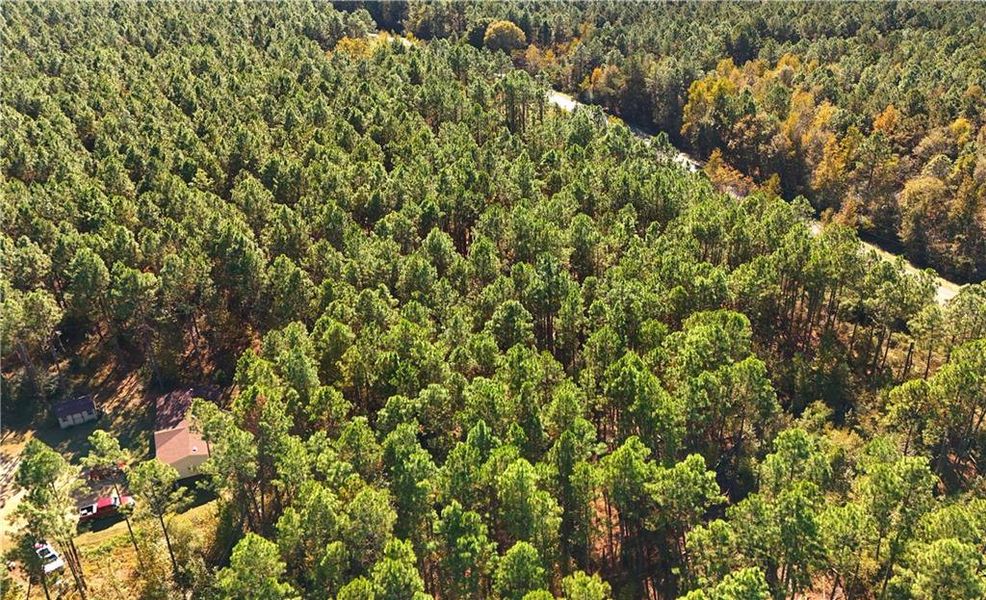 Natural landscape and outdoor views near  in Chester (Image 36).