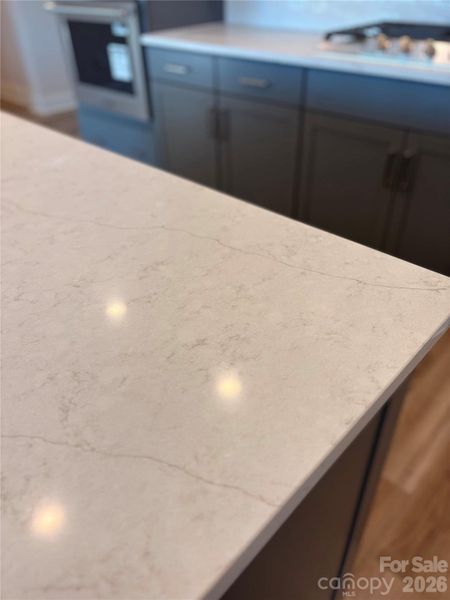 Close-up of interior finishes inside a home in Encore at Harmony, Harrisburg (Image 17).