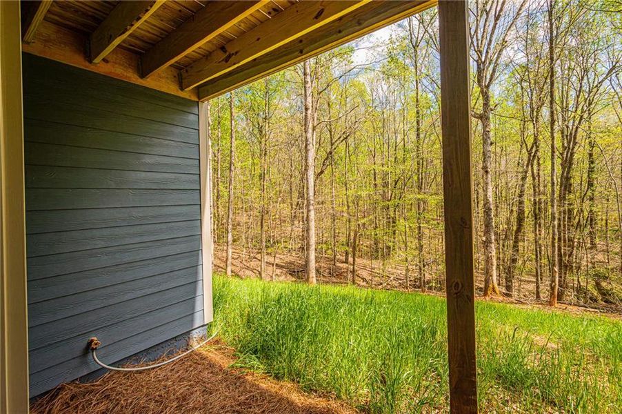 Exterior details and patio area of a home in , Murrayville (Image 49).