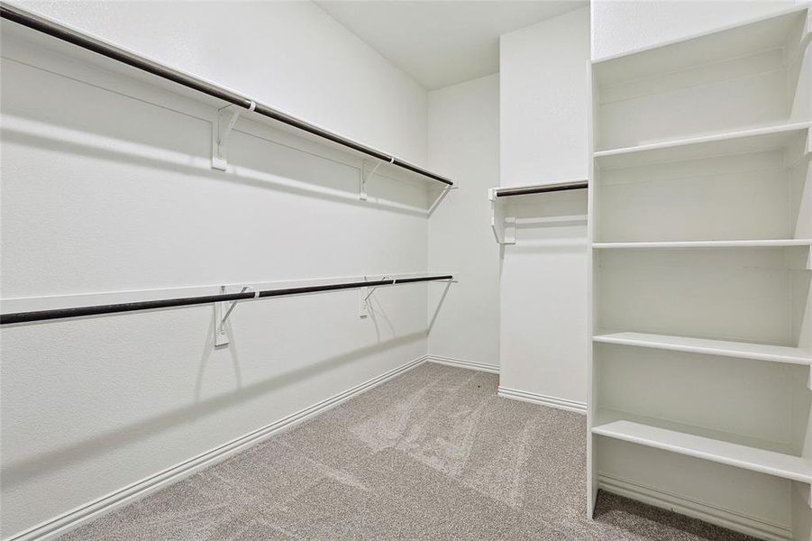 Spacious closet featuring light colored carpet