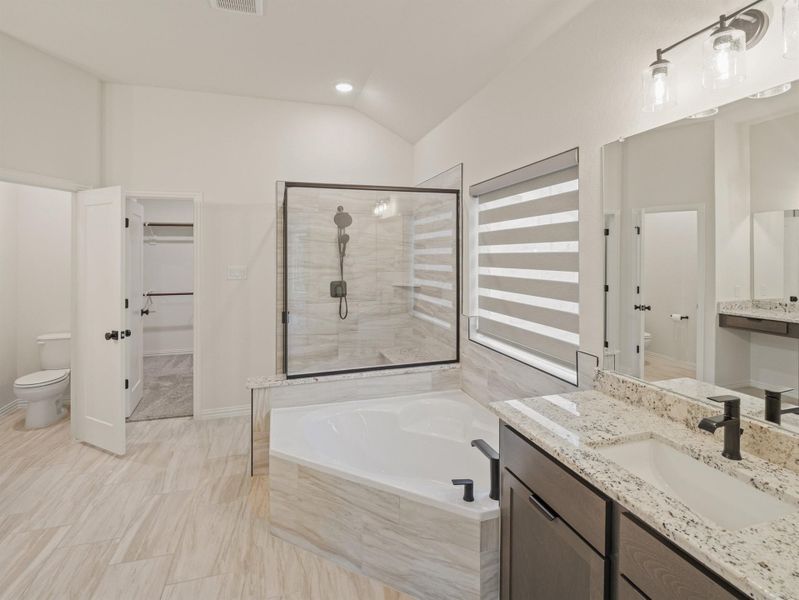 Full bathroom with a stall shower, a garden tub, a walk in closet, vanity, and lofted ceiling