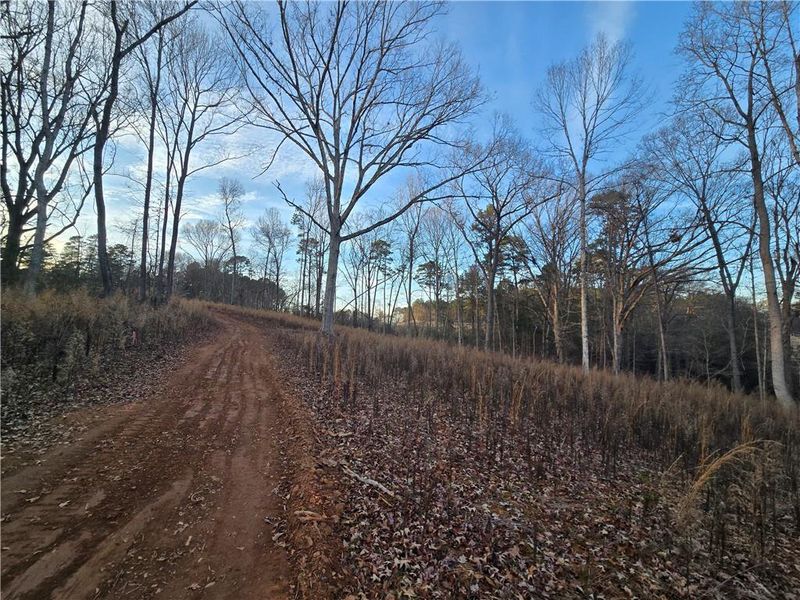 Natural landscape and outdoor views near  in Lavonia (Image 22).