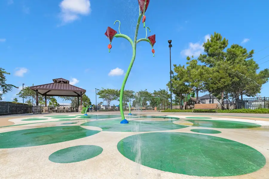 Community amenities in Briarwood Crossing, Rosenberg (Image 4).
