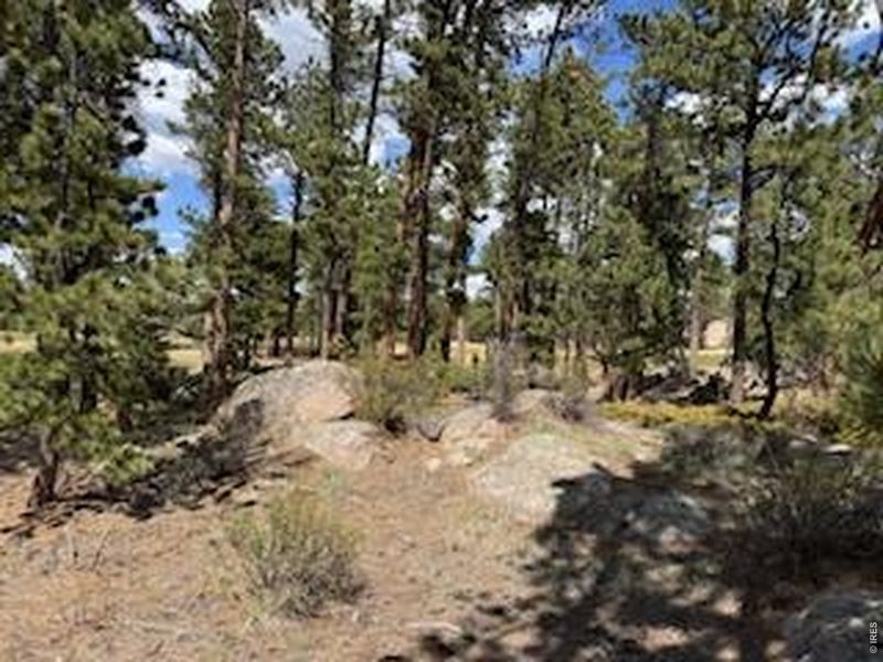 Natural landscape and outdoor views near  in Red Feather Lakes (Image 23).