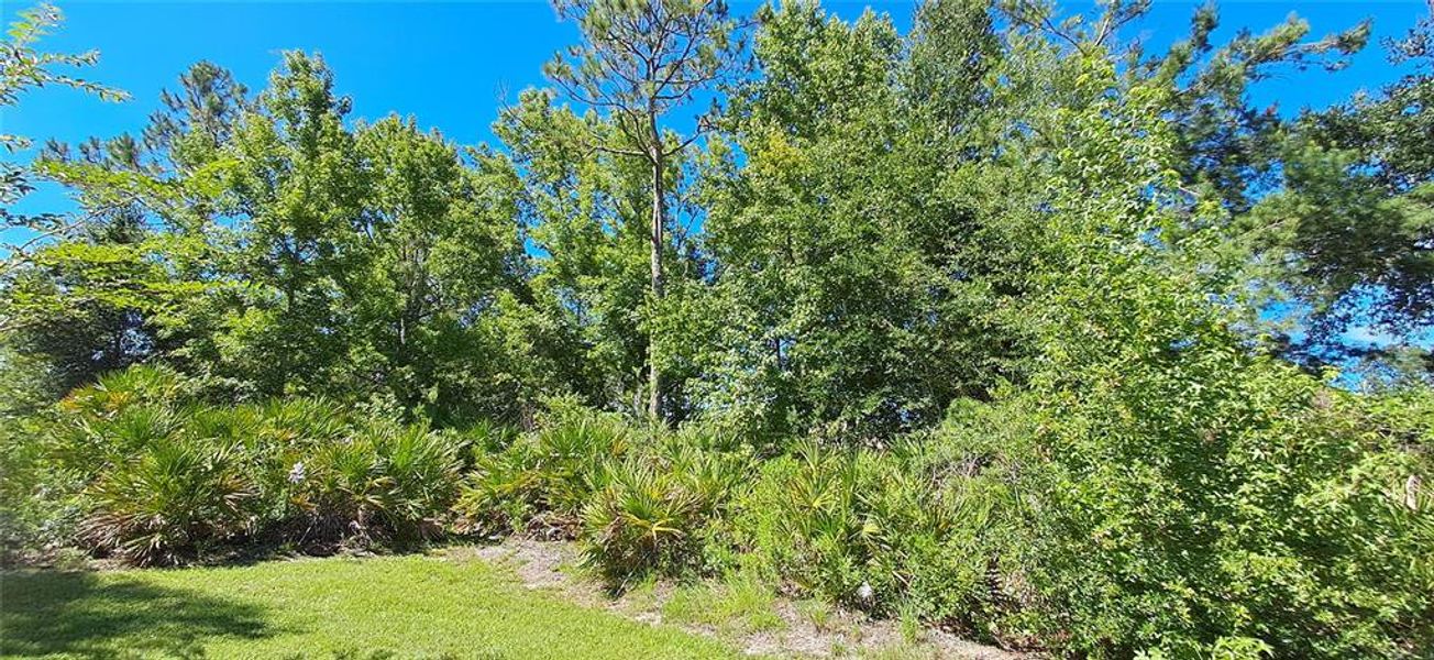 Natural landscape and outdoor views near in Palm Coast (Image 34). Natural landscape and outdoor views near in Palm Coast (Image 34).