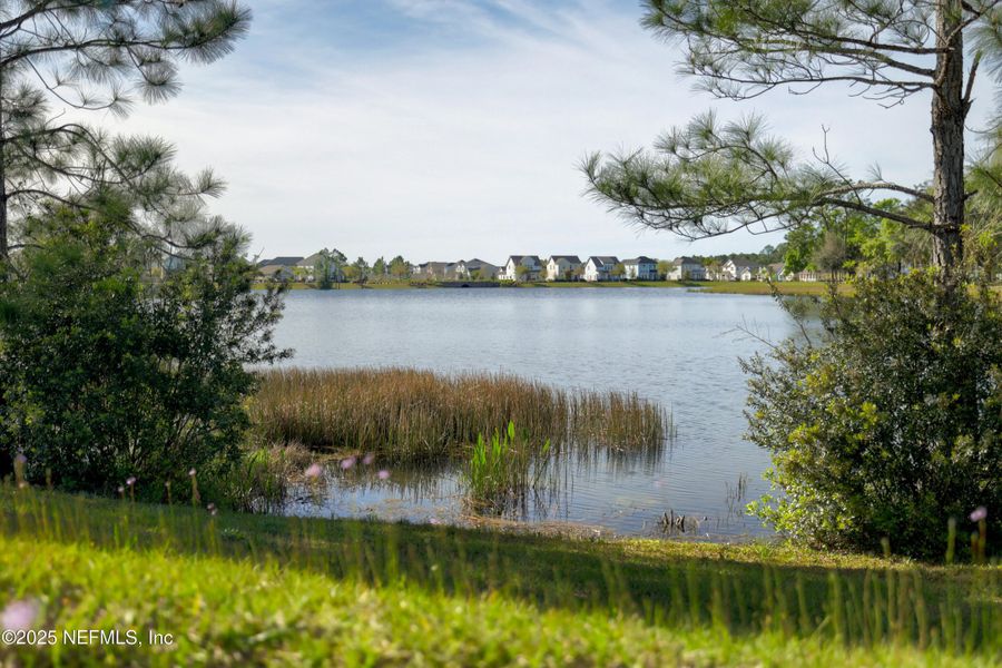 Natural landscape and outdoor views near Trailmark - Phase 6 in St. Augustine (Image 57). Natural landscape and outdoor views near Trailmark - Phase 6 in St. Augustine (Image 57).