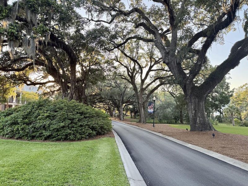 Natural landscape and outdoor views near  in Charleston (Image 59).