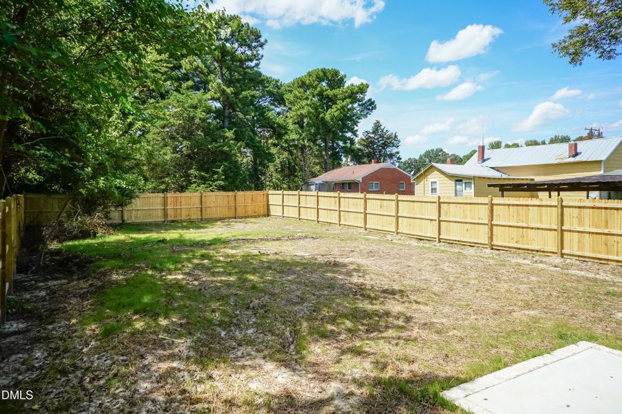 Back Yard 01 Back Yard 01