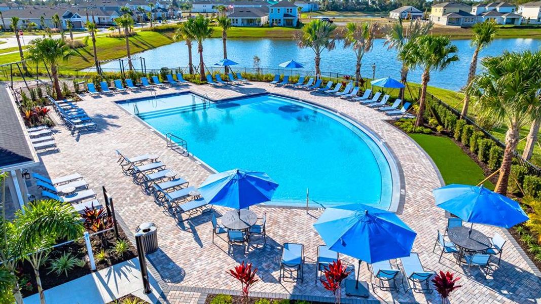 Community amenities in Indigo Creek, Apollo Beach (Image 30).