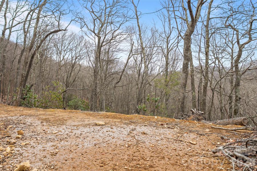 Natural landscape and outdoor views near  in Maggie Valley (Image 17).