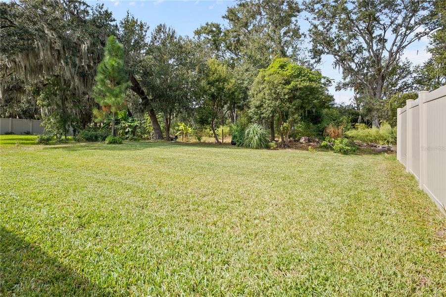 Natural landscape and outdoor views near Hawkstone in Lithia (Image 34).