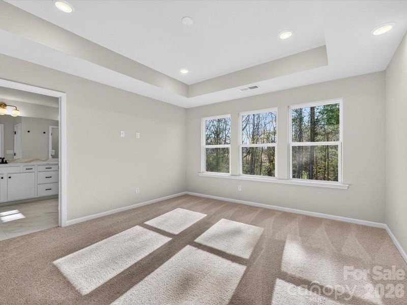 Primary bedroom features tray ceiling, large windows allow in lots of natural light and views to the wooded backyard