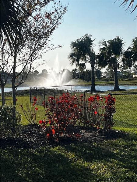 Natural landscape and outdoor views near Bella Lago in Parrish (Image 43).