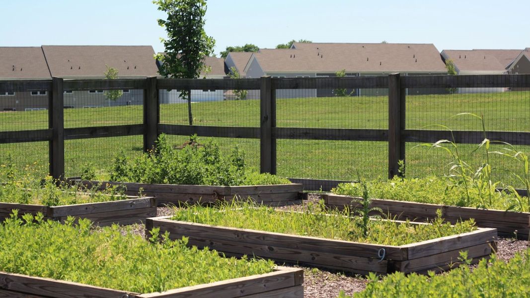 Image 12 of a home in Harvest Point.