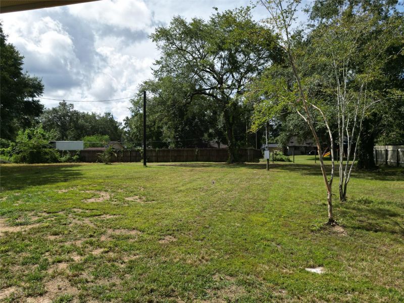 Natural landscape and outdoor views near in Pinehurst (Image 18). Natural landscape and outdoor views near in Pinehurst (Image 18).