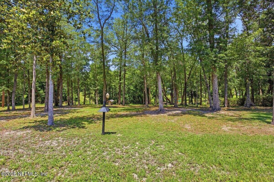 Natural landscape and outdoor views near  in Green Cove Springs (Image 30).