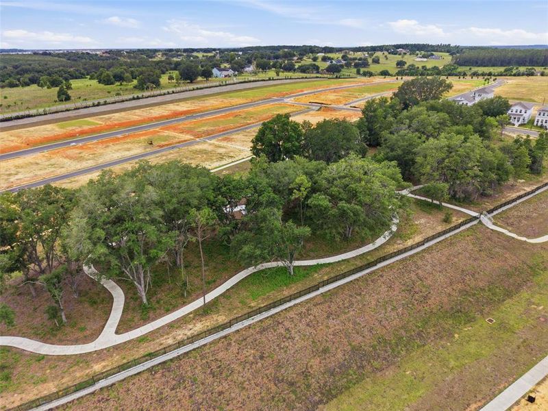 Site preparation for new homesites in , Clermont (Image 39).