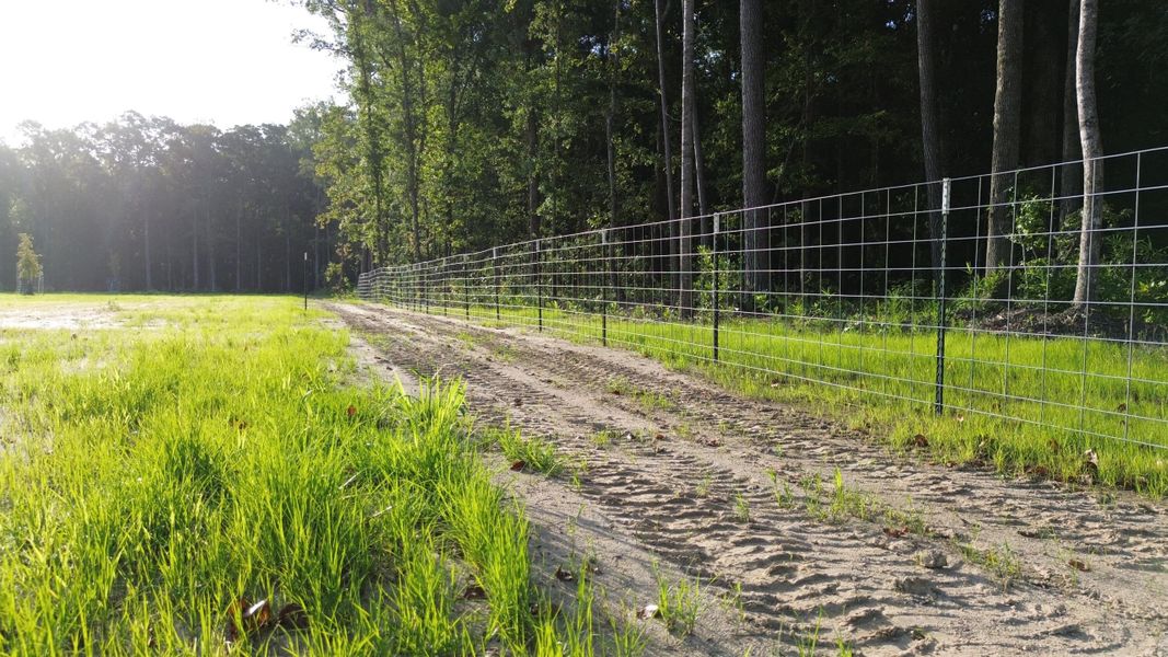 Natural landscape and outdoor views near in Ridgeville (Image 37). Natural landscape and outdoor views near in Ridgeville (Image 37).