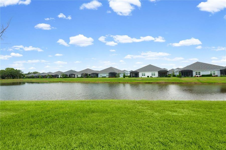 Natural landscape and outdoor views near Wildleaf at North River Ranch in Parrish (Image 55). Natural landscape and outdoor views near Wildleaf at North River Ranch in Parrish (Image 55).