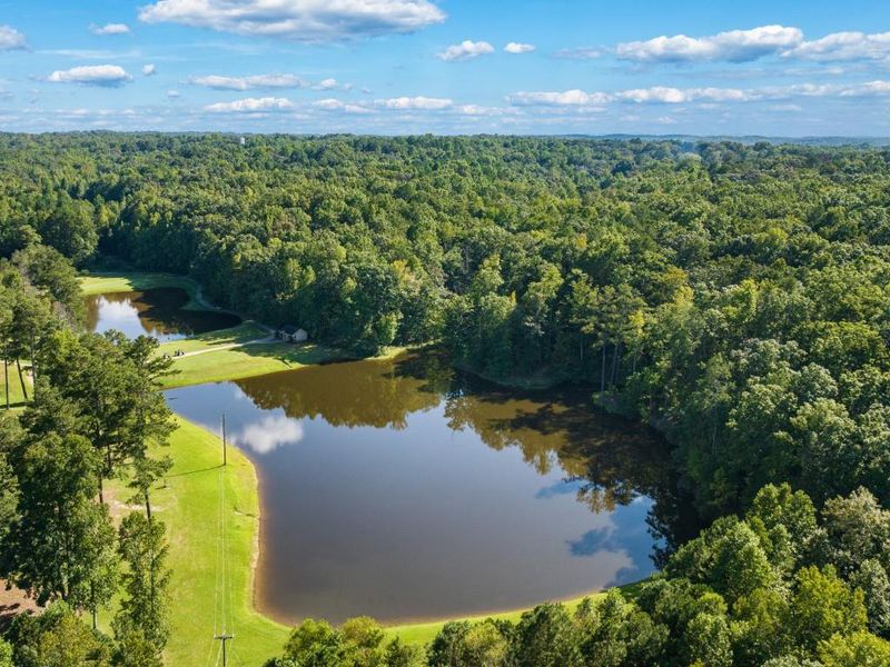 Image 45 of a home in Parkside at Carter Grove.