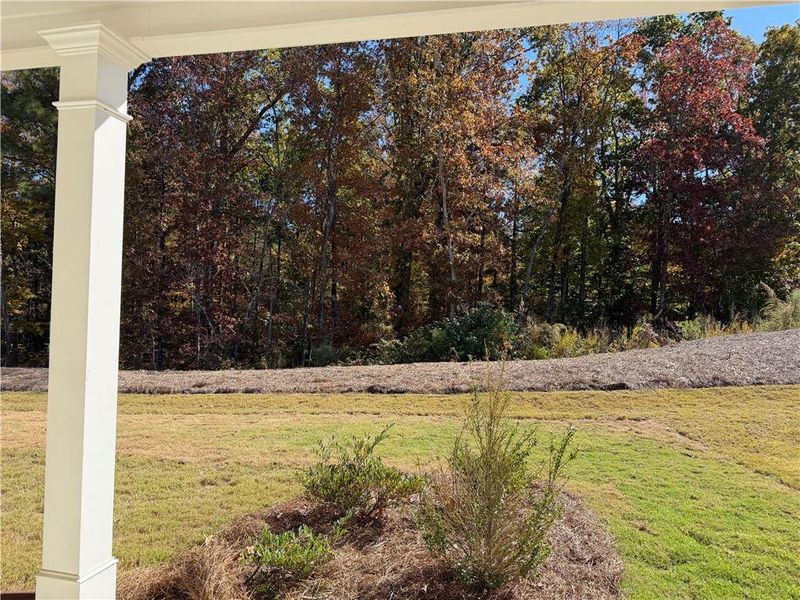 Exterior details and patio area of a home in Villages at Cedar Hill, Dallas (Image 27).