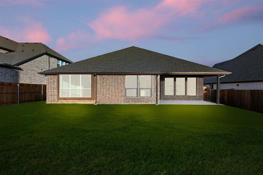 51 Magpie-Back-2 51 Magpie-Back-2