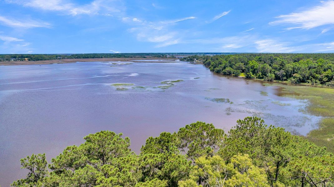 Natural landscape and outdoor views near  in Ravenel (Image 78).