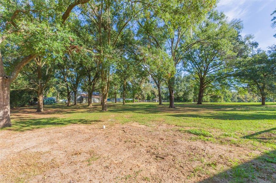 Natural landscape and outdoor views near  in Dade City (Image 46).