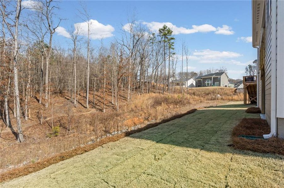Image 46 of a home in The Reserve At Liberty Park.