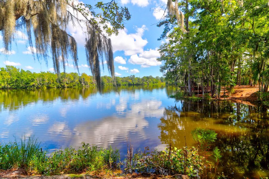 Natural landscape and outdoor views near Sweetgrass at Summers Corner: Arbor Collection in Summerville (Image 42).