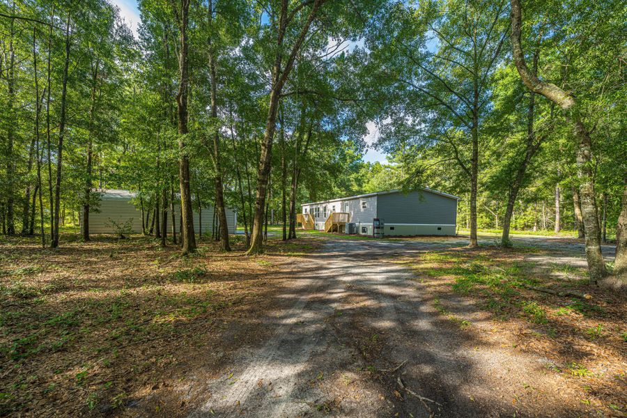 Natural landscape and outdoor views near  in Walterboro (Image 71).