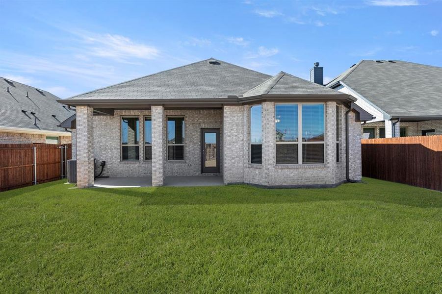 26. 3013 Rembrandt - Back