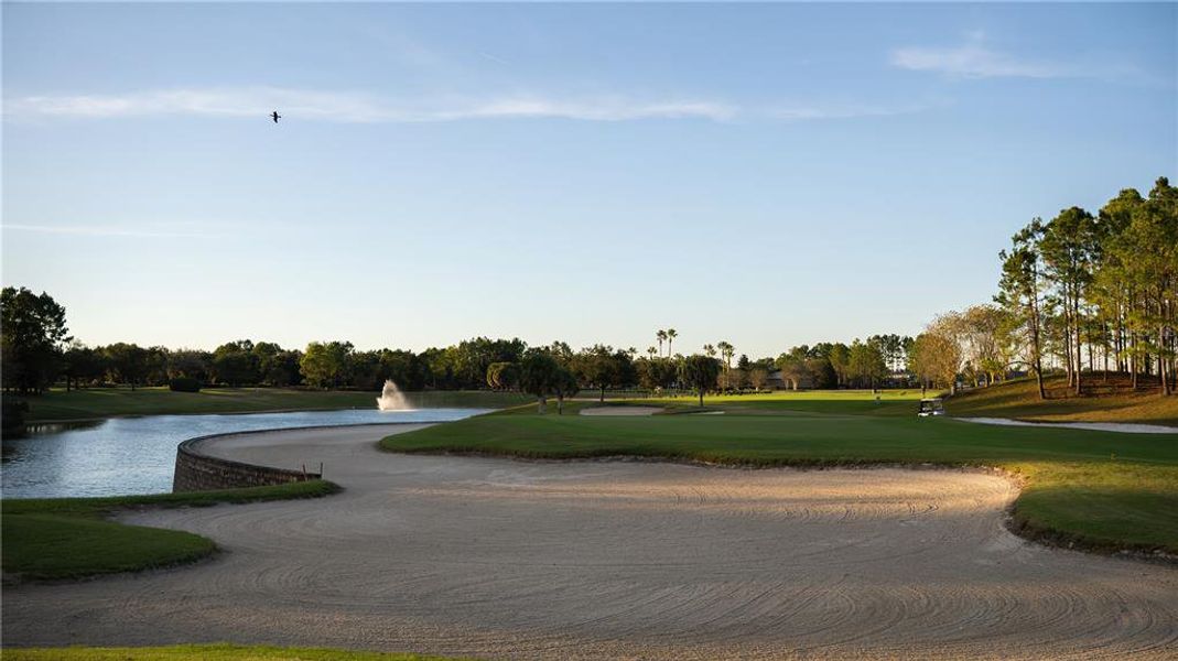 Natural landscape and outdoor views near  in Ocala (Image 54).