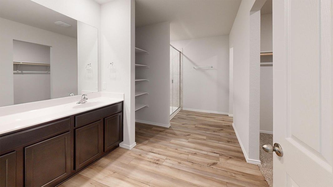 Full bath with vanity, a walk in closet, light wood finished floors, and a shower stall