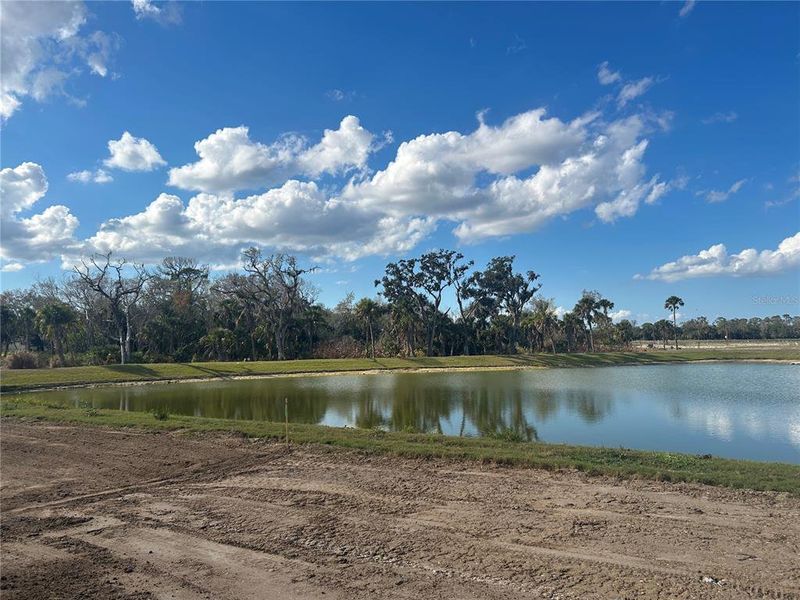 Image 51 of a home in Oakfield Trails.