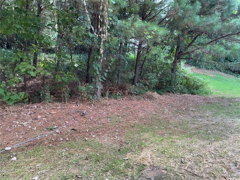 Natural landscape and outdoor views near  in Gainesville (Image 20).