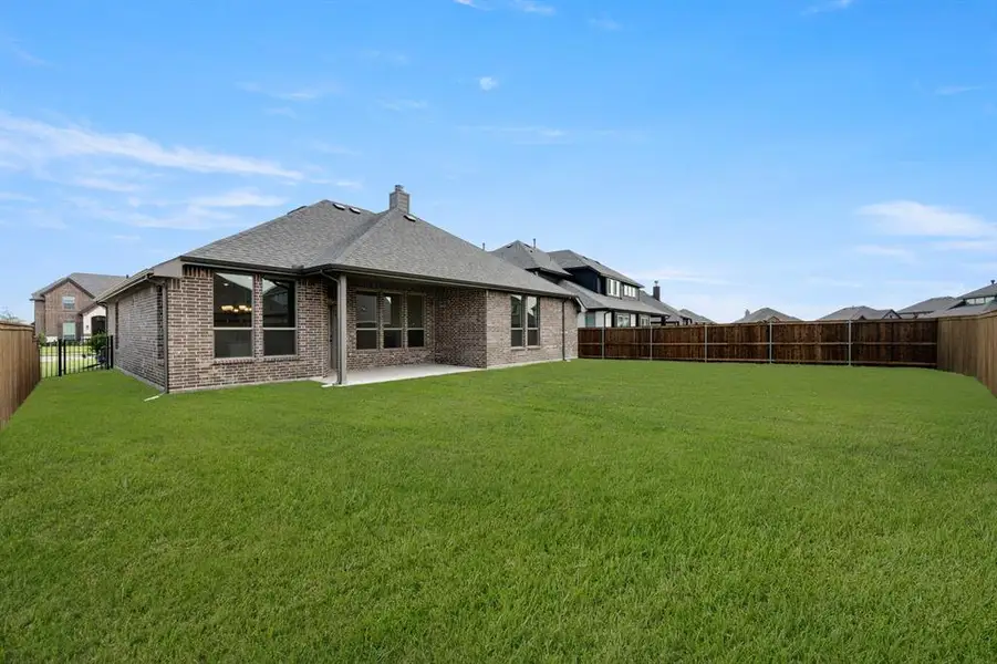 7725 Sweet Sorghum- Back