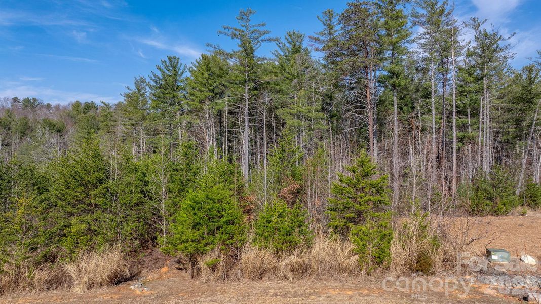 Natural landscape and outdoor views near  in Morganton (Image 22).