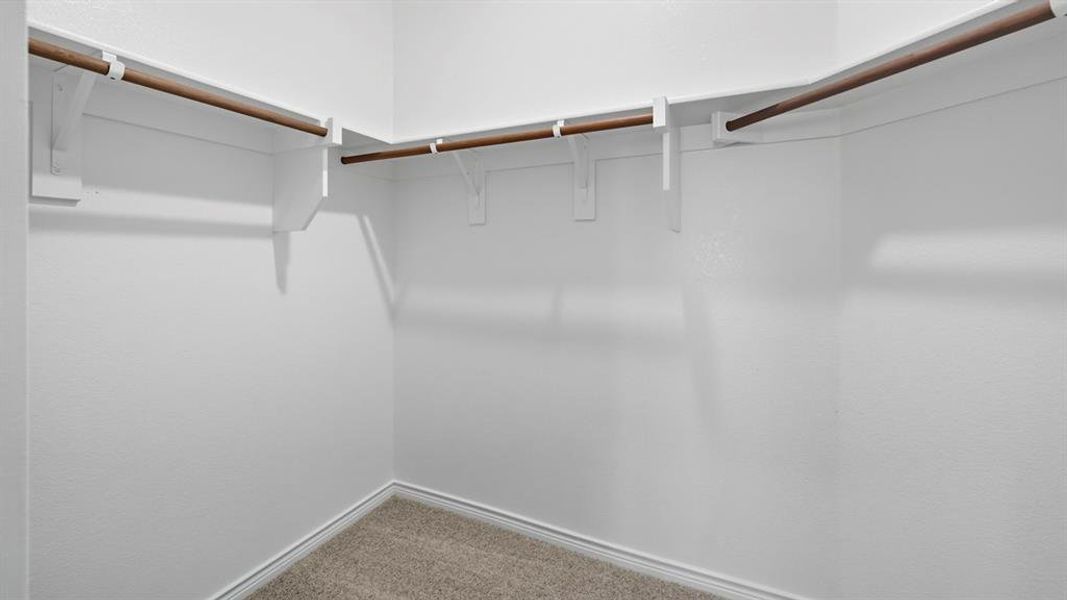 Spacious closet with carpet flooring Spacious closet with carpet flooring