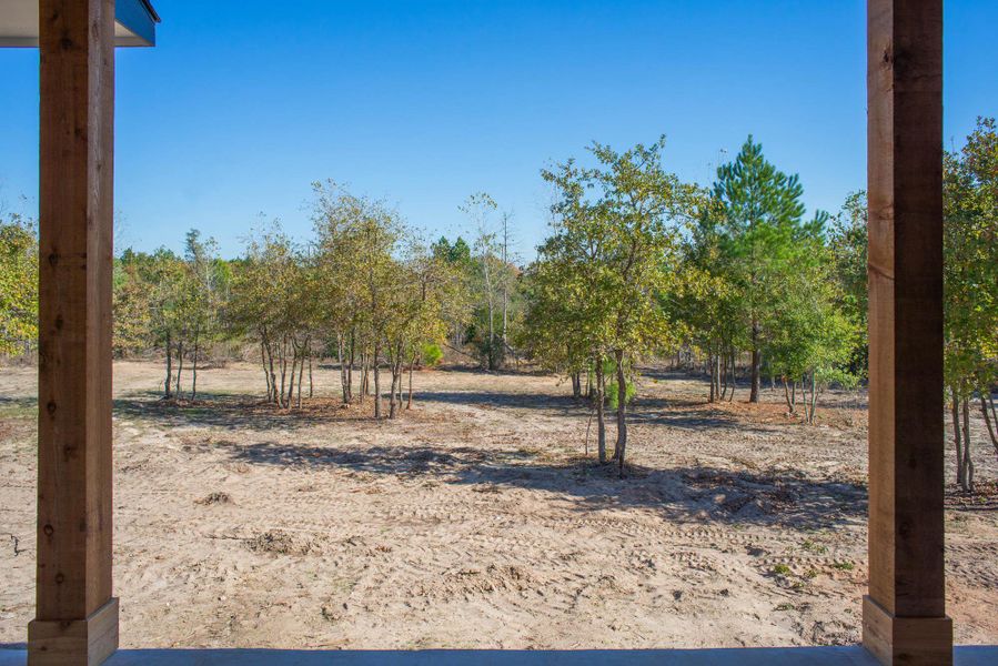 Back porch view Back porch view